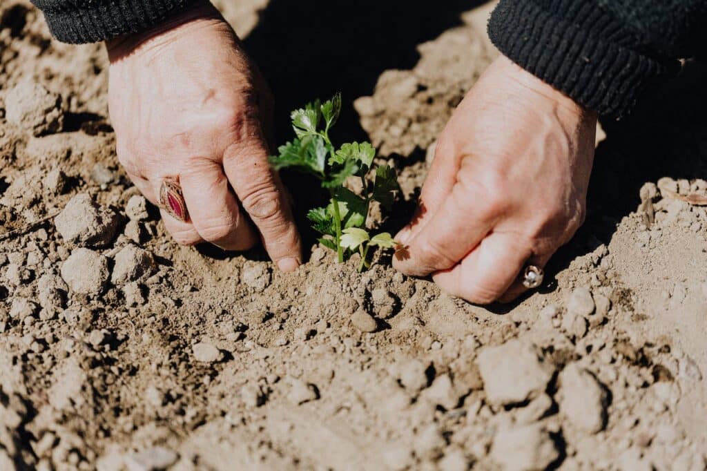 Comment bénéficier du crédit d&rsquo;impôt jardinage ?